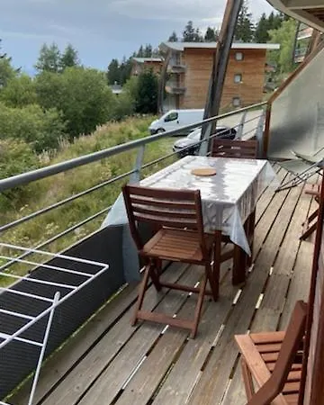 Appartement Mélèzes B12 - Les Domaines De L'arselle - 1700 Chamrousse